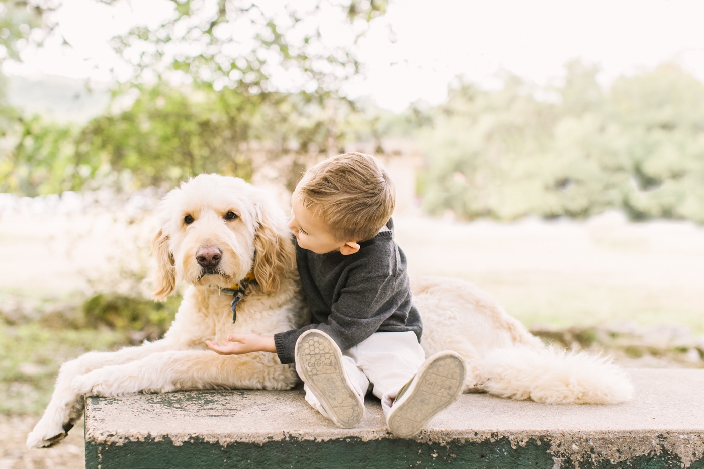 Sweet image of toddler hugging dog in park. Photo by Austin family photographer, Sana Ahmed Photography.