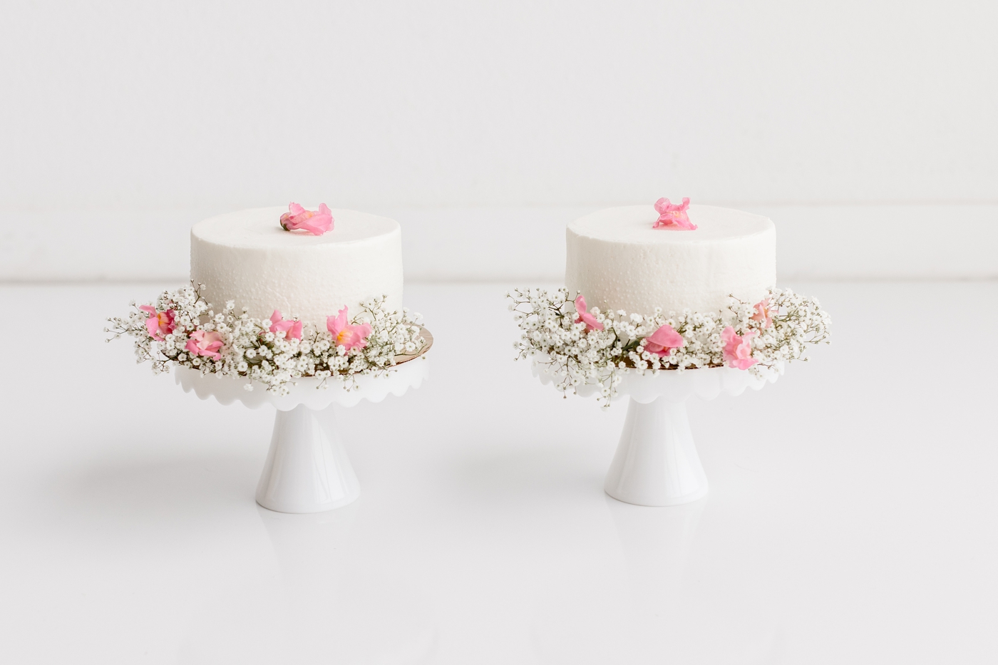 Two smash cakes for twin girls' first birthday photo session. Photo by Sana Ahmed Photography.