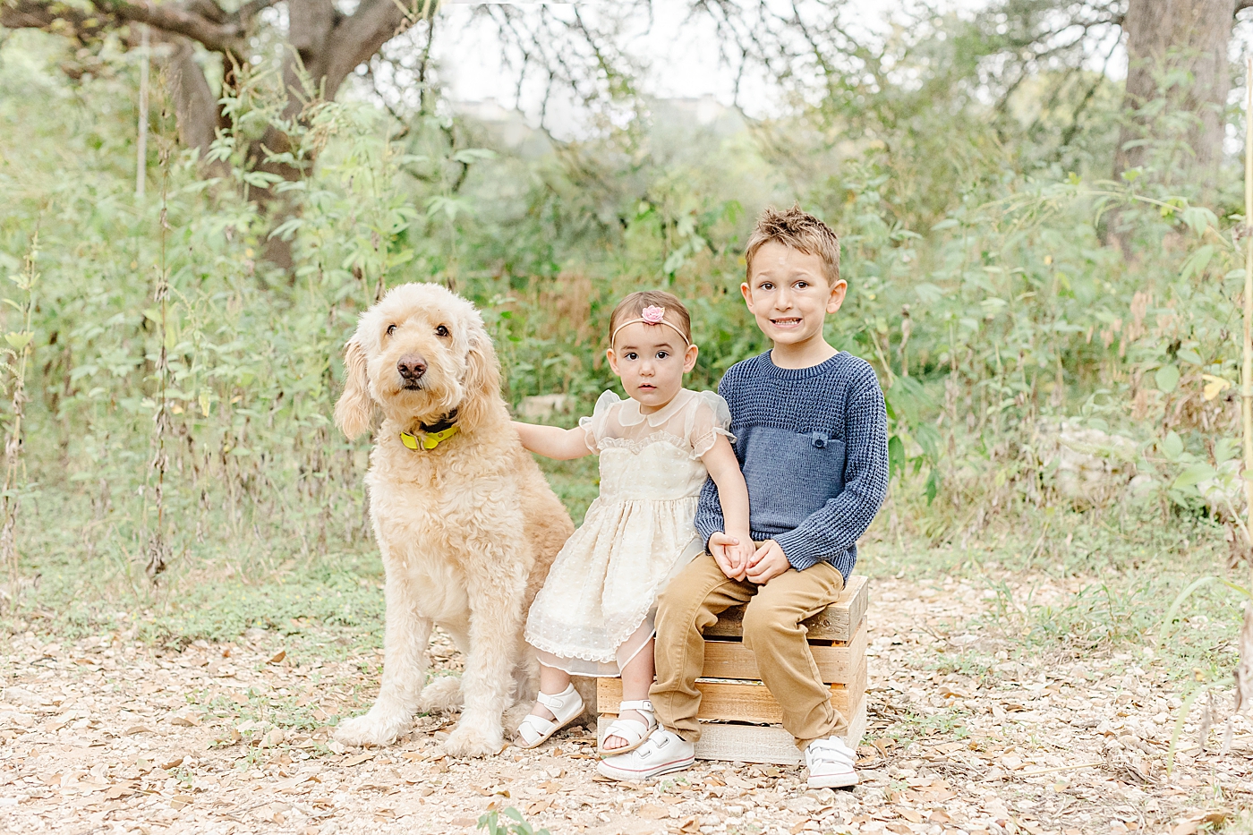 Brother and sister sitting on a box with their family dog | Outdoor Family Sessions with Sana Ahmed Photography